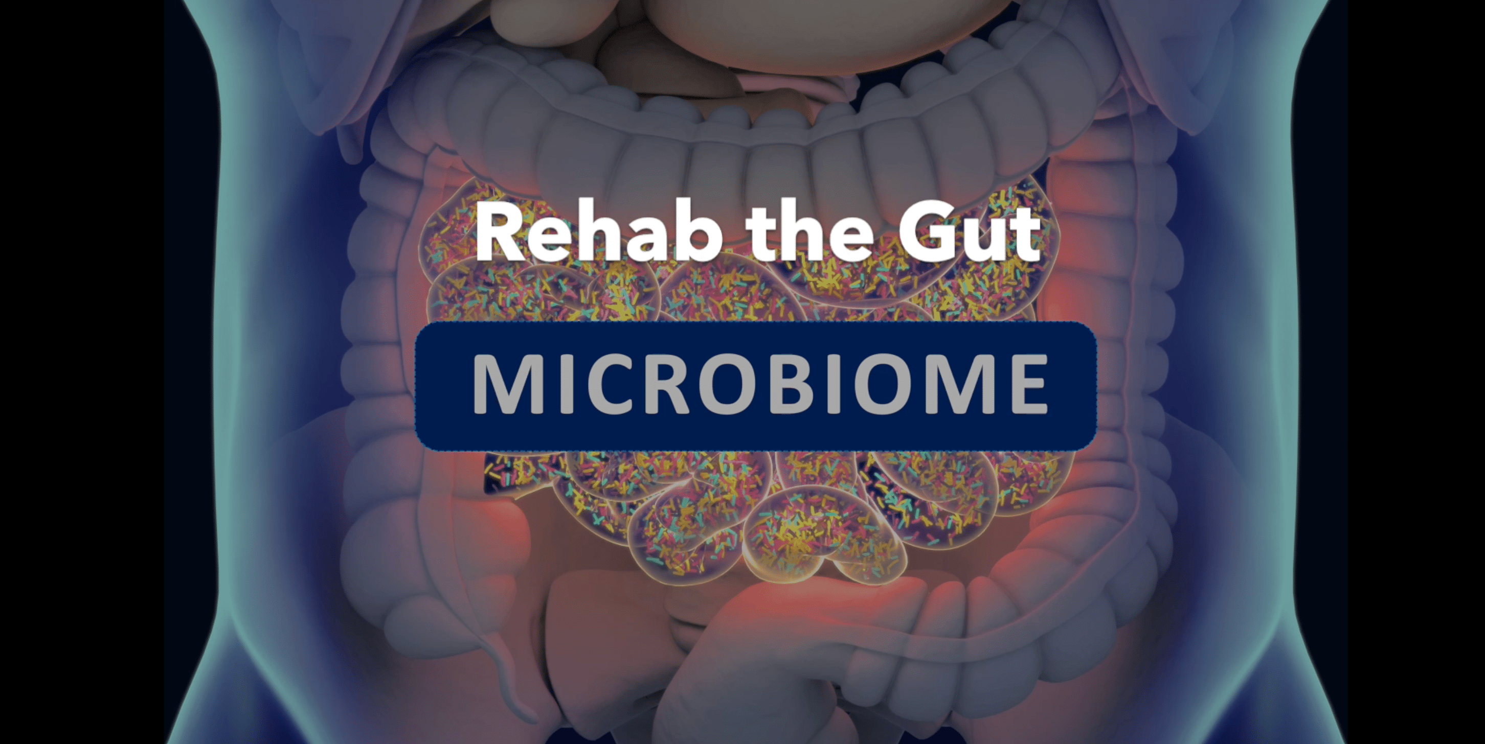 Rehab the Gut
